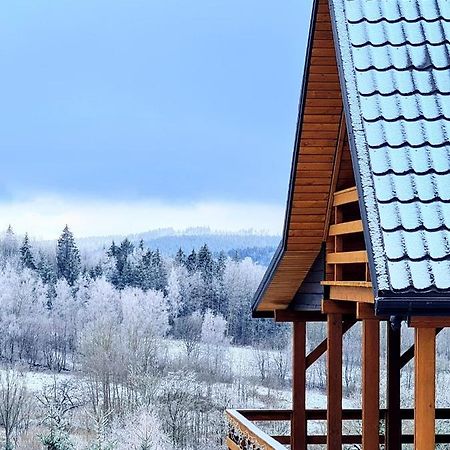 Osada Sierpnica - Uroczy Dom Z Kominkiem I Balia W Gorach Sowich Villa Exterior photo